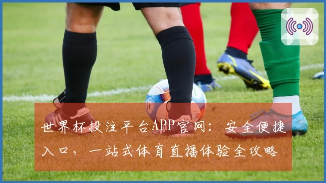 世界杯投注平台APP官网：安全便捷入口，一站式体育直播体验全攻略