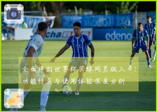 全面评测世界杯买球网页版入口：功能特点与使用体验深度分析