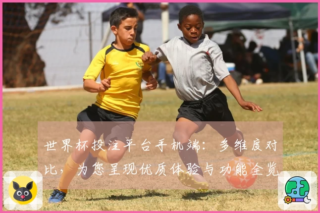 世界杯投注平台手机端：多维度对比，为您呈现优质体验与功能全览