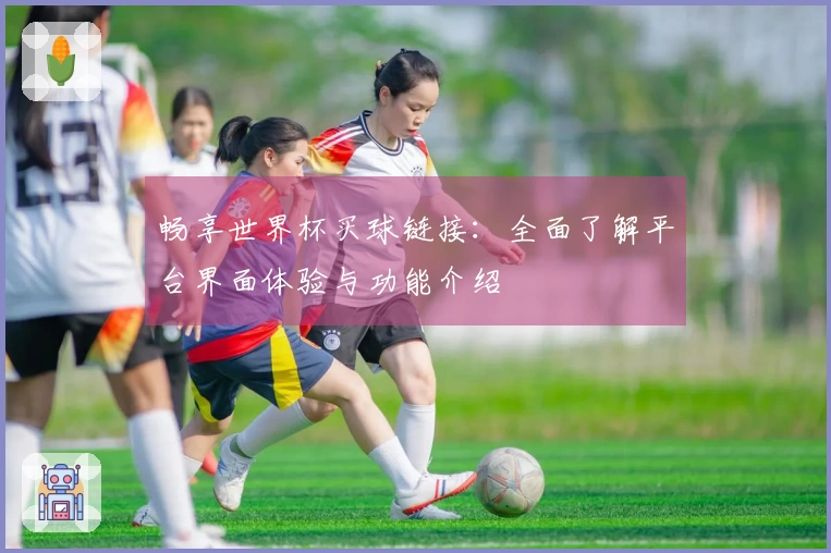 畅享世界杯买球链接：全面了解平台界面体验与功能介绍