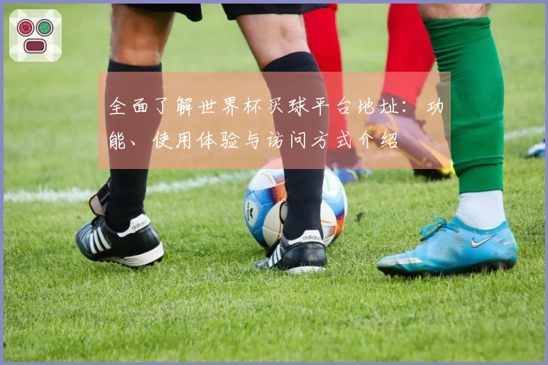 全面了解世界杯买球平台地址：功能、使用体验与访问方式介绍