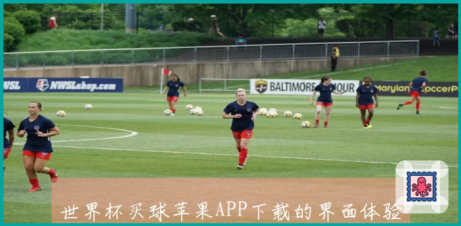 世界杯买球苹果APP下载的界面体验与功能全面解读