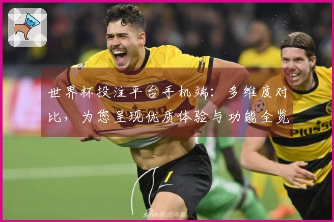 世界杯投注平台手机端:多维度对比,为您呈现优质体验与功能全览