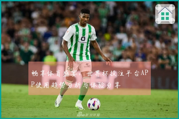 畅享体育盛宴，世界杯投注平台APP使用趋势分析与体验分享