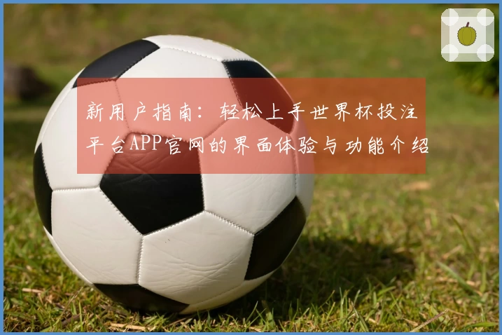 新用户指南:轻松上手世界杯投注平台APP官网的界面体验与功能介绍