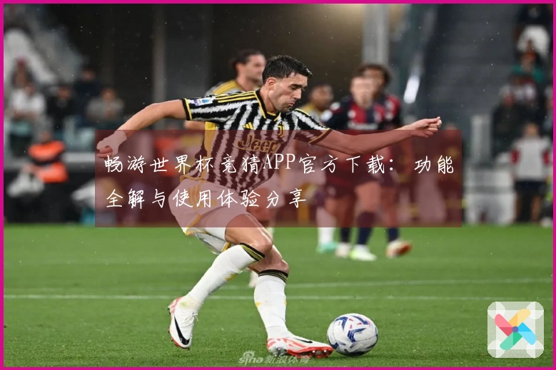 畅游世界杯竞猜APP官方下载：功能全解与使用体验分享