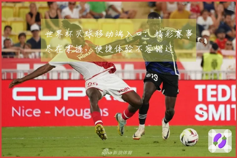 世界杯买球移动端入口：精彩赛事尽在掌握，便捷体验不容错过