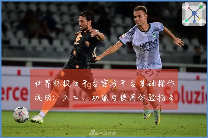 世界杯投注平台官方平台基础操作说明：入口、功能与使用体验指南