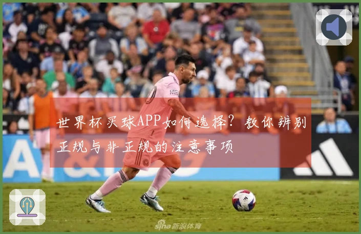 世界杯买球APP如何选择？教你辨别正规与非正规的注意事项