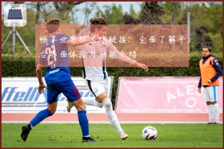 畅享世界杯买球链接：全面了解平台界面体验与功能介绍
