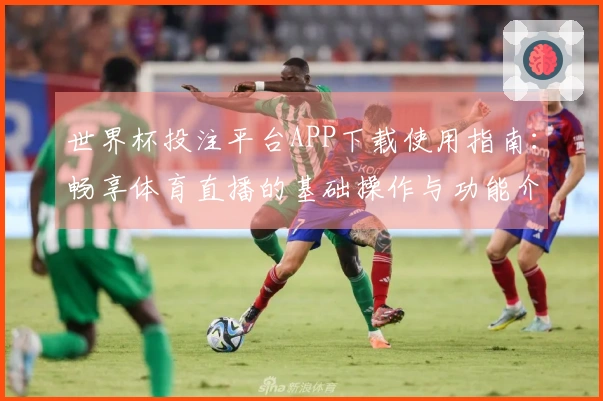 世界杯投注平台APP下载使用指南：畅享体育直播的基础操作与功能介绍