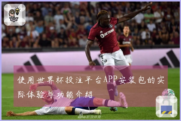 使用世界杯投注平台APP安装包的实际体验与功能介绍