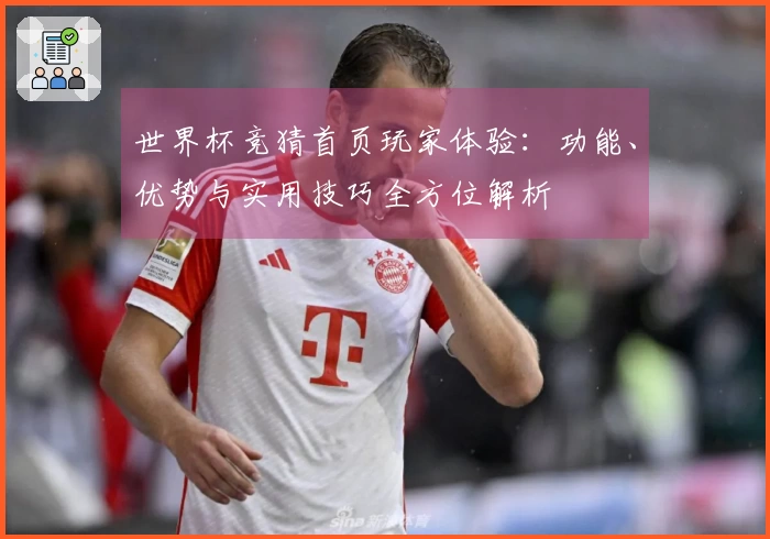 世界杯竞猜首页玩家体验：功能、优势与实用技巧全方位解析
